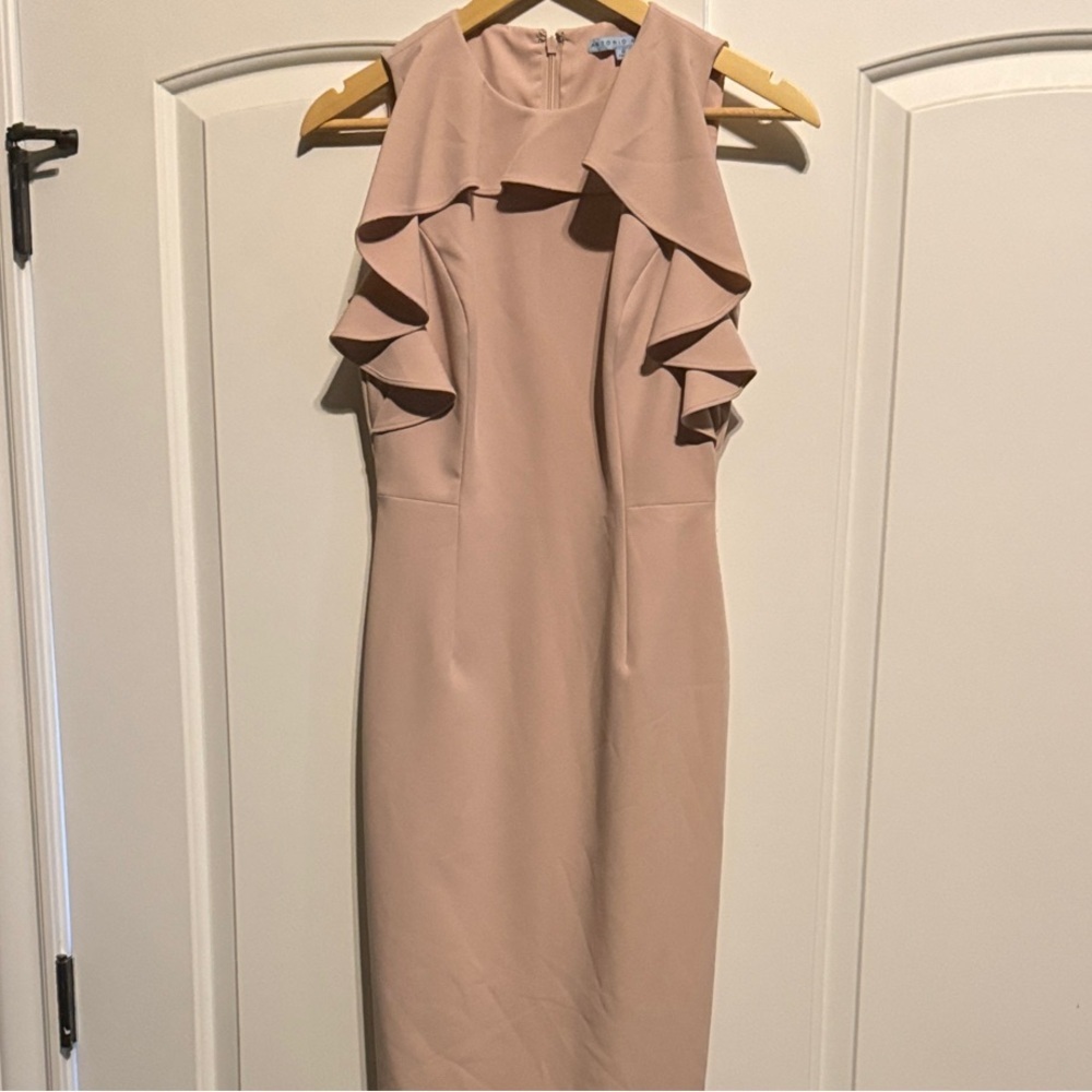 ANTONIO MELANI Ruffled Sleeveless light pink Dress